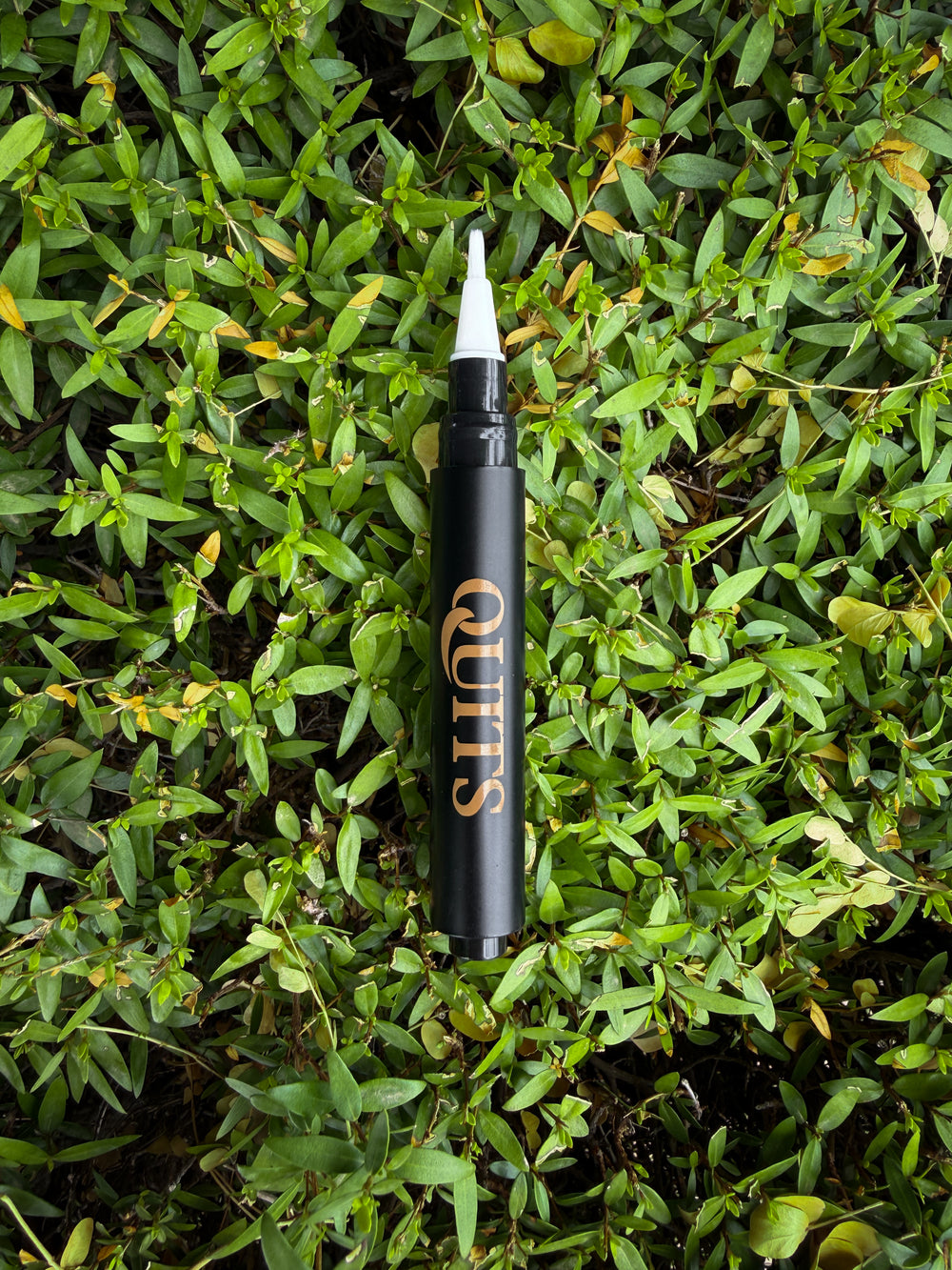 QUITS — The Pen